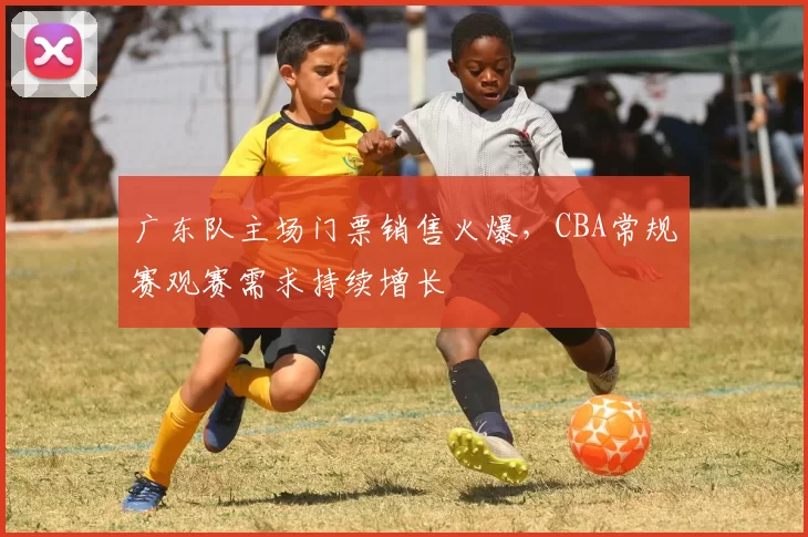 广东队主场门票销售火爆，CBA常规赛观赛需求持续增长