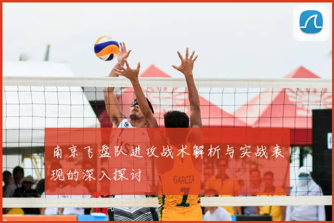 南京飞盘队进攻战术解析与实战表现的深入探讨