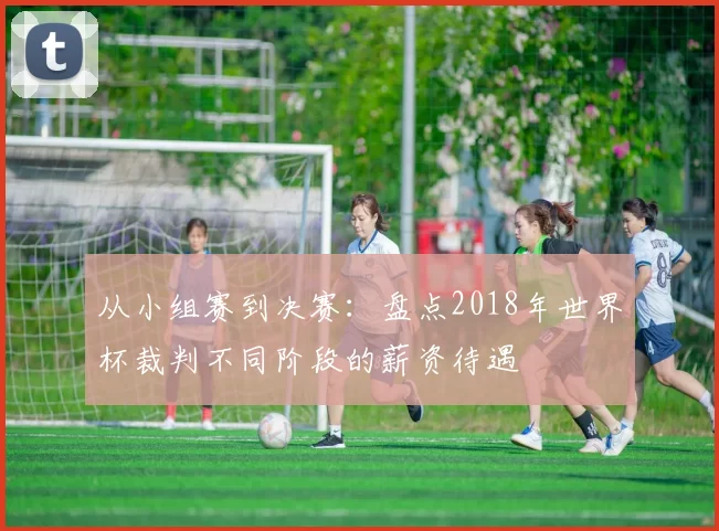 从小组赛到决赛:盘点2018年世界杯裁判不同阶段的薪资待遇