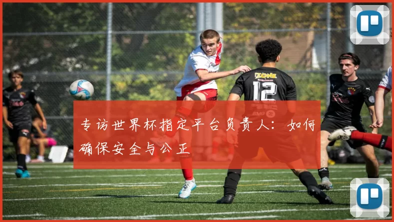 专访世界杯指定平台负责人：如何确保安全与公正