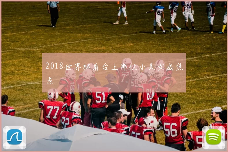 2018世界杯看台上那位小美女成焦点