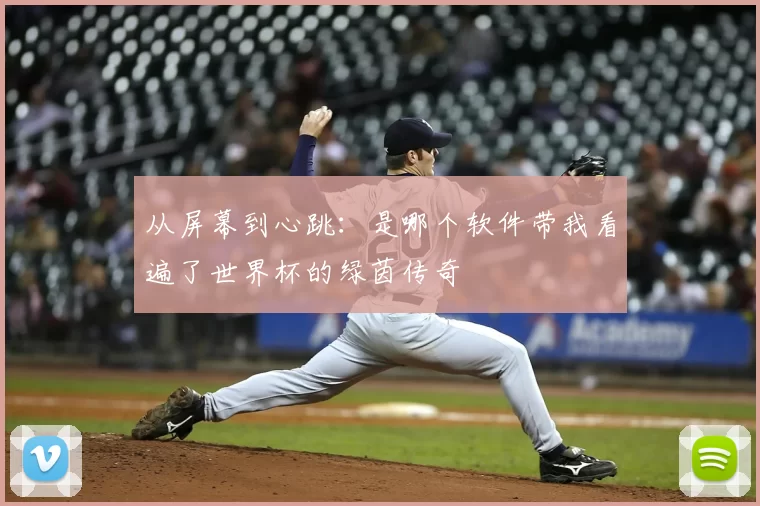 从屏幕到心跳:是哪个软件带我看遍了世界杯的绿茵传奇
