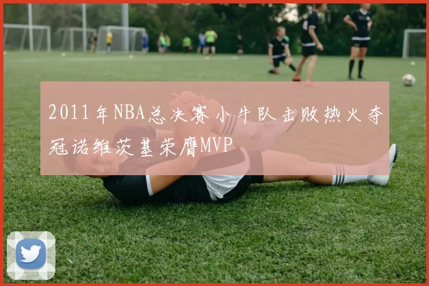 2011年NBA总决赛小牛队击败热火夺冠诺维茨基荣膺MVP