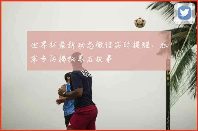 世界杯最新动态微信实时提醒,独家专访揭秘幕后故事