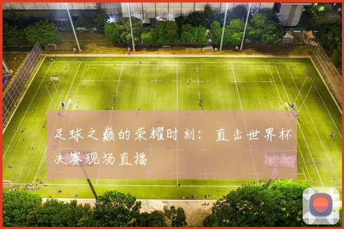 足球之巅的荣耀时刻：直击世界杯决赛现场直播