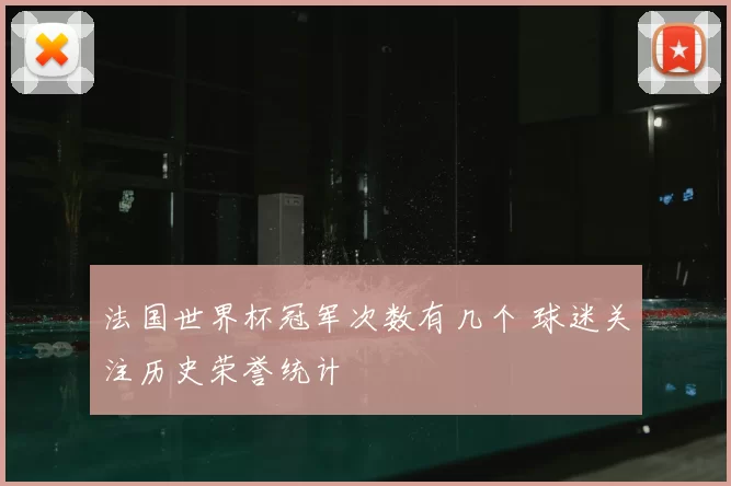 法国世界杯冠军次数有几个 球迷关注历史荣誉统计