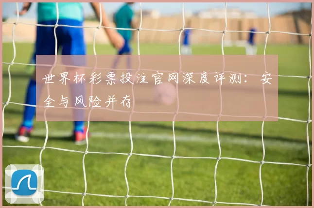 世界杯彩票投注官网深度评测：安全与风险并存