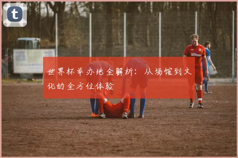 世界杯举办地全解析：从场馆到文化的全方位体验