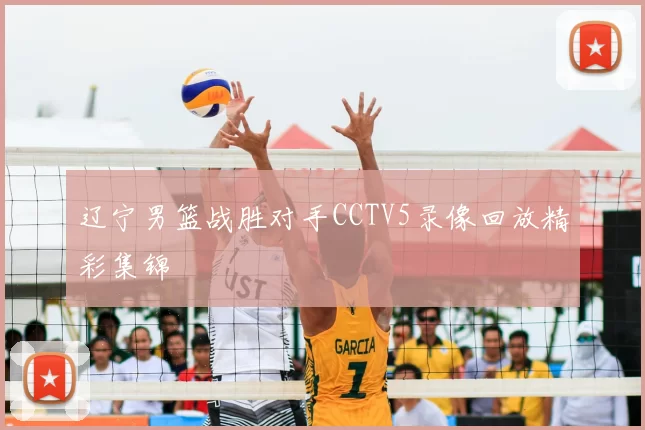 辽宁男篮战胜对手CCTV5录像回放精彩集锦