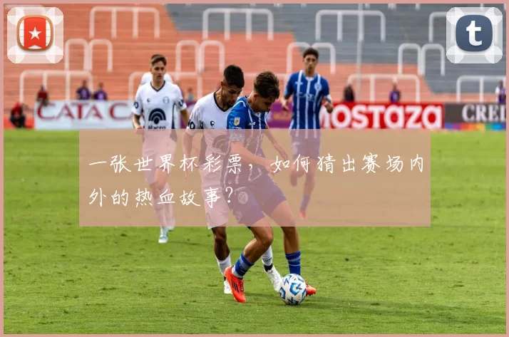 一张世界杯彩票,如何猜出赛场内外的热血故事?